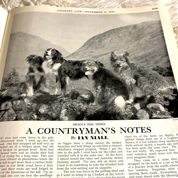 VINTAGE COUNTRY LIFE MAGAZINE Christmas Ads December 9, 1954 EUC - Picture 8 of 16